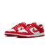 NIKE Dunk Low Next Nature Womens Sneakers